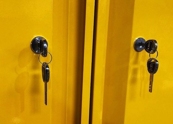 comprar Armário de armazenamento de produtos químicos com tamanhos de 109x46x123CM, 109x46x165CM e 109x86x165CM para armazenamento de materiais perigosos Fabricação em linha